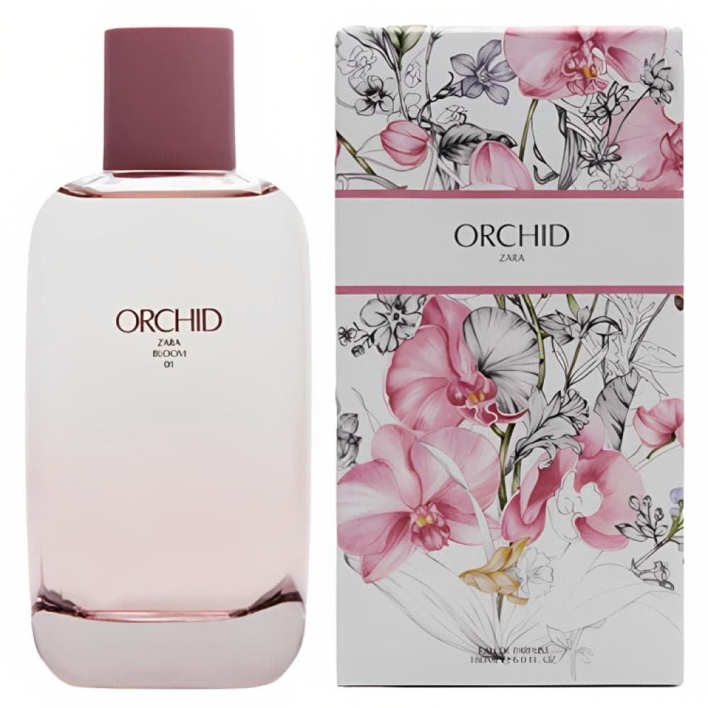 Orchid